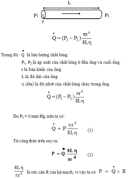 4. Lưu Lượng Máu Trong Các Tình Huống Khác Nhau